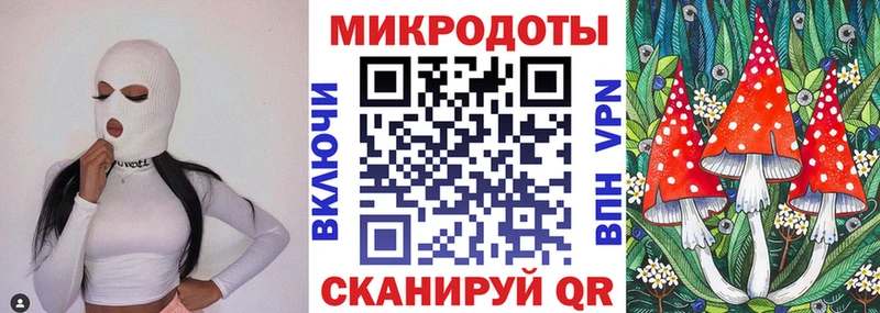 Псилоцибиновые грибы MAGIC MUSHROOMS  купить наркоту  Суворов 