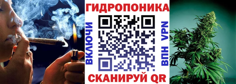 купить   Суворов  Марихуана White Widow 